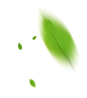 tree leaves